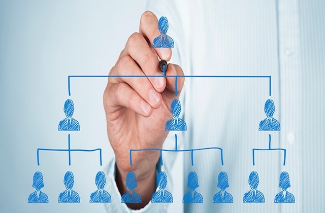 Organizational Structure / Restructuring